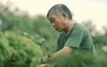 Nam ca sĩ 9x mời cha mẹ đóng MV về quê hương Thái Bình