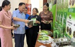 Lào Cai: Thêm 2 sản phẩm đặc sản được công bố chứng nhận nhãn hiệu