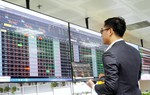 Có nên "bắt đáy" cổ phiếu khi thị trường chứng khoán "rung lắc"?