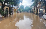 Yên Bái: Chủ động ứng phó với mưa lũ, sạt lở đất để giảm thiểu thiệt hại