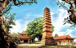 Phê duyệt Quy hoạch bảo quản, tu bổ, phục hồi Di tích tháp Bình Sơn