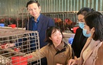 Xây dựng mô hình trang trại áp dụng khoa học tiên tiến