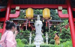 Mùa Vu Lan tìm về ngôi chùa cổ linh thiêng có cây thị trăm năm tuổi