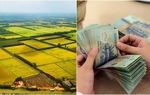 Quy định mới về Quỹ phát triển đất có hiệu lực từ 1/8/2024