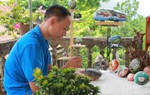 Thổi hồn cho tác phẩm hội họa từ việc vẽ tranh trên thủy tinh tái chế