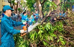 Công nhân vệ sinh môi trường Hà Nội: Cây đổ nhiều quá, tăng ca suốt tuần vẫn không dọn xuể