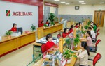 Agribank tích cực triển khai các giải pháp cho vay phát triển nhà ở xã hội