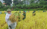 Thanh Hóa: Hàng trăm hộ dân ở xã biên giới bị cô lập, mất điện hoàn toàn do mưa lũ