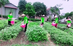 Phát động Giải thưởng Báo chí tài nguyên và môi trường lần thứ VII