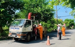 Điện lực miền Bắc sẵn sàng các phương án ứng phó với bão Yagi