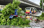 Không cắt điện toàn thành phố Hà Nội vì bão số 3