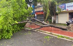 Chủ tịch Hà Nội khuyến cáo người dân không ra khỏi nhà khi bão số 3 đổ bộ