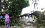 Hải Dương: Các cấp Hội LHPN chung tay khắc phục hậu quả sau bão số 3