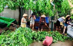 Bắc Ninh: Cán bộ, hội viên, phụ nữ ra quân tham gia khắc phục thiệt hại sau bão