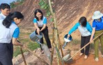 Trồng 300 cây hoa bằng lăng trong Lễ phát động Tết trồng cây