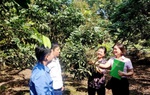 Hội LHPN Hưng Yên thực hiện hiệu quả chương trình ủy thác với Ngân hàng Chính sách xã hội