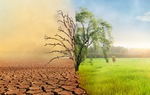 Thiếu nhạy cảm giới trong thực hiện sáng kiến ​​về khí hậu ảnh hưởng sinh kế của phụ nữ