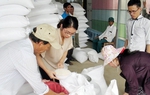 Hỗ trợ gạo cho 7 địa phương dịp Tết Nguyên đán và giáp hạt