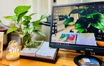 Góc làm việc xanh của phụ nữ Công an tỉnh Hà Tĩnh