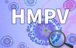 Bộ Y tế thông tin về dịch bệnh do virus gây viêm phổi trên người (HMPV) tại Trung Quốc