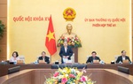Thường vụ Quốc hội tiếp tục cho ý kiến Luật Việc làm (sửa đổi)