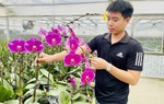 Làng hoa cây cảnh Văn Giang: Trăm đường lợi nhờ ứng dụng kỹ thuật số 