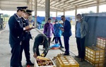 Giám sát dịch bệnh ngay tại cửa khẩu, không để xâm nhập, lây lan vào Việt Nam