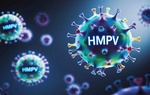 Virus HMPV không quá nguy hiểm