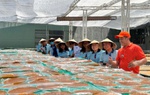 Khu công nghiệp trở thành điểm đến mới trên bản đồ du lịch Khánh Hòa