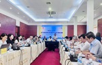 Dự thảo Luật Dân số: Lo thiếu nguồn lực thực thi chính sách hỗ trợ để duy trì mức sinh thay thế