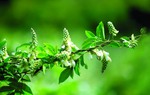 Kiến tạo cuộc đời ý nghĩa nhờ khởi nghiệp với đặc sản địa phương