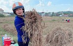 Nghĩa tình phụ nữ nơi lũ vừa đi qua