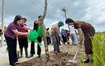 “Đường cây phụ nữ” chào mừng Đại hội đại biểu Đảng bộ tỉnh Ninh Bình