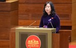 Dự án Luật Dân số: Phụ nữ sinh đủ 2 con trước 35 tuổi cần có mức hỗ trợ cao hơn