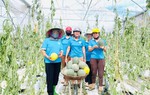 Những phiên chợ nghĩa tình cứu nông sản vùng lũ