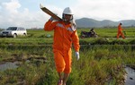 Tổng công ty Điện lực miền Bắc: 56 năm một chặng đường đầy tự hào