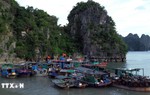 Các địa phương gấp rút kiểm đếm tàu thuyền, bảo vệ đê điều và sản xuất