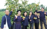 Làn sóng khởi nghiệp nữ: Thêm động lực cho phát triển kinh tế