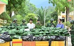 Thủ tướng khen Bộ đội Biên phòng và Công an triệt phá đường dây ma túy lớn