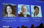 Giải Nobel Y Sinh 2025: Sự kỳ diệu của 'lá chắn an ninh sinh học'