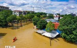 Chống tràn khẩn cấp đê Hà Châu, ứng phó với lũ trên sông Cầu thuộc Thái Nguyên