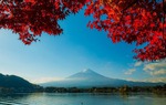 Nhật Bản: Sắc Thu rực rỡ của vùng núi Phú Sĩ trong tiết trời se lạnh đầu Đông