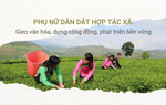 Phụ nữ dẫn dắt hợp tác xã: Gieo văn hóa, dựng cộng đồng, phát triển bền vững
