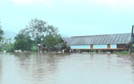 Tập trung ứng phó với lũ trên sông Ba ở Đắk Lắk và sông Kôn ở Gia Lai