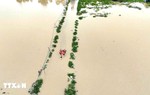 Điều động lực lượng ứng cứu người dân bị ngập lụt tại Khánh Hòa
