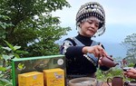 Nâng tầm trà Shan Tuyết Suối Giàng, góp phần phát triển kinh tế - xã hội vùng dân tộc thiểu số và miền núi