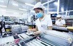 Chính phủ bãi bỏ toàn bộ hoặc một phần đối với 10 nghị định