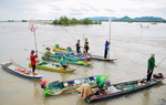 An Giang: Cống Tha La xả lũ, người dân đổ về bắt cá linh, niềm vui mùa nước nổi xen lẫn nỗi lo kích điện