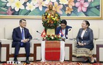Tăng cường hợp tác tổ chức xây dựng Đảng giữa Việt Nam và Lào