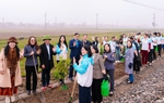 Phát động Tết trồng cây và triển khai phong trào "Đường tàu - Đường hoa" Xuân Ất Tỵ 2025